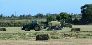 Spritmarken er mejet, og havren er høstet